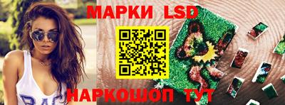 PSILOCYBIN Гатчина