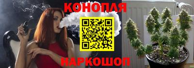 дживик Гай