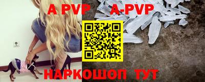 PSILOCYBIN Гатчина