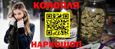 PSILOCYBIN Гатчина