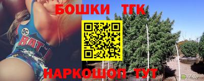 индика Гагарин