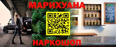 PSILOCYBIN Гатчина