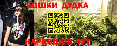 PSILOCYBIN Гатчина