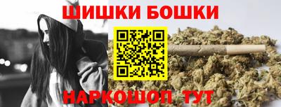 индика Гагарин