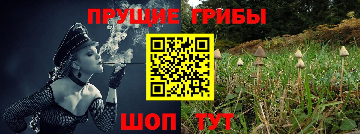 Галлюциногенные грибы мухоморы Белогорск